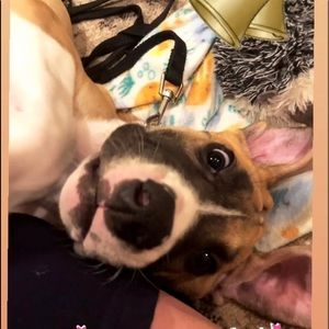 Meet your Posher, Mary